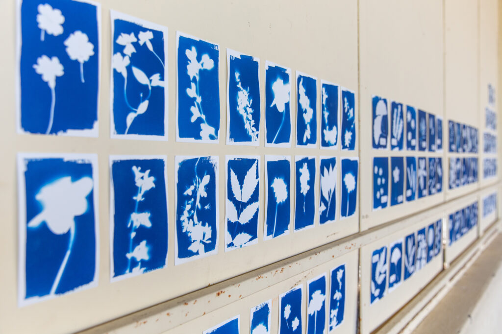 atelier-boutdessais-fleur-bleue (17)