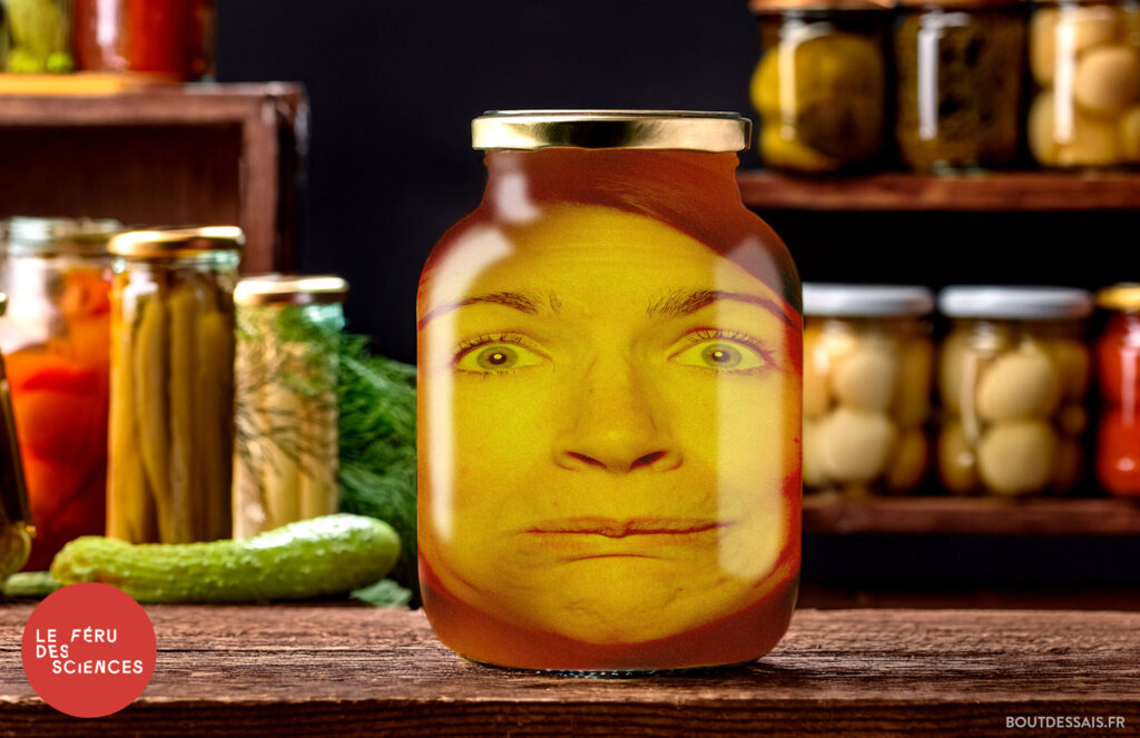 studio-boutdessais-feru-bocal (9)