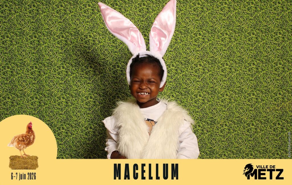 studio_bout_dessais-macellum-10