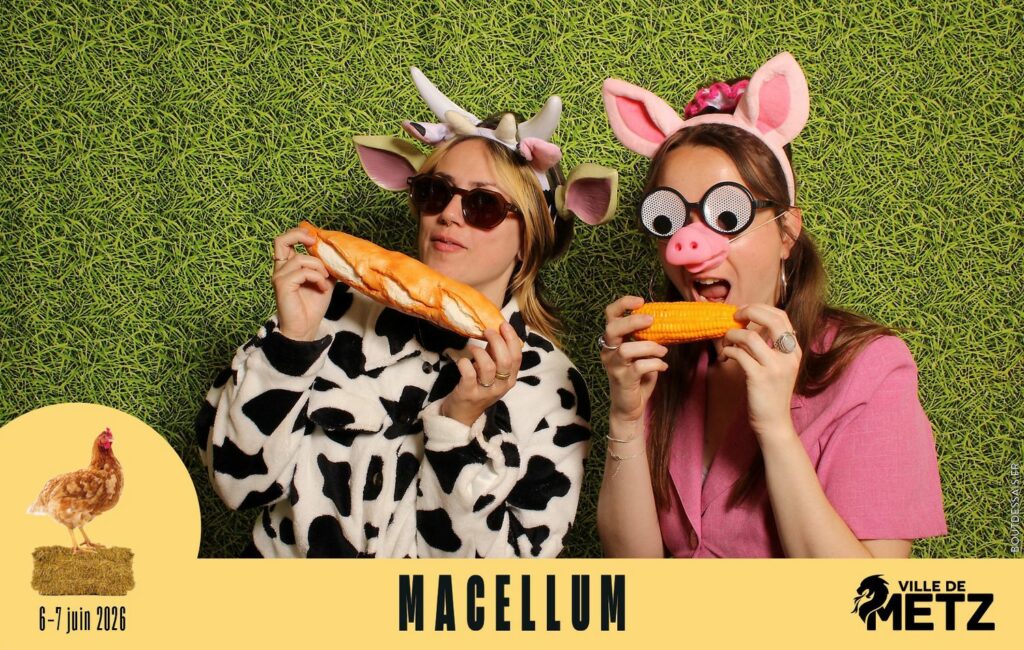 studio_bout_dessais-macellum-2