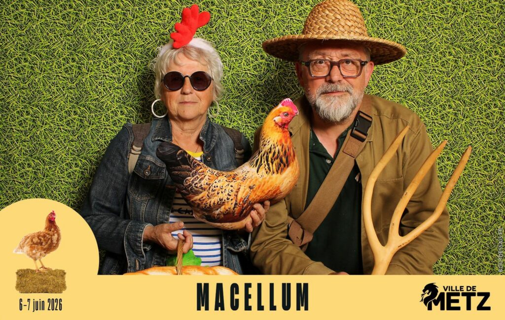 studio_bout_dessais-macellum-4