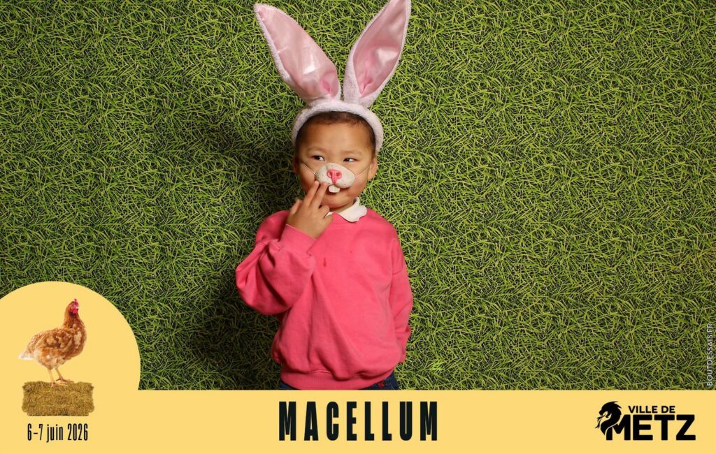 studio_bout_dessais-macellum-8